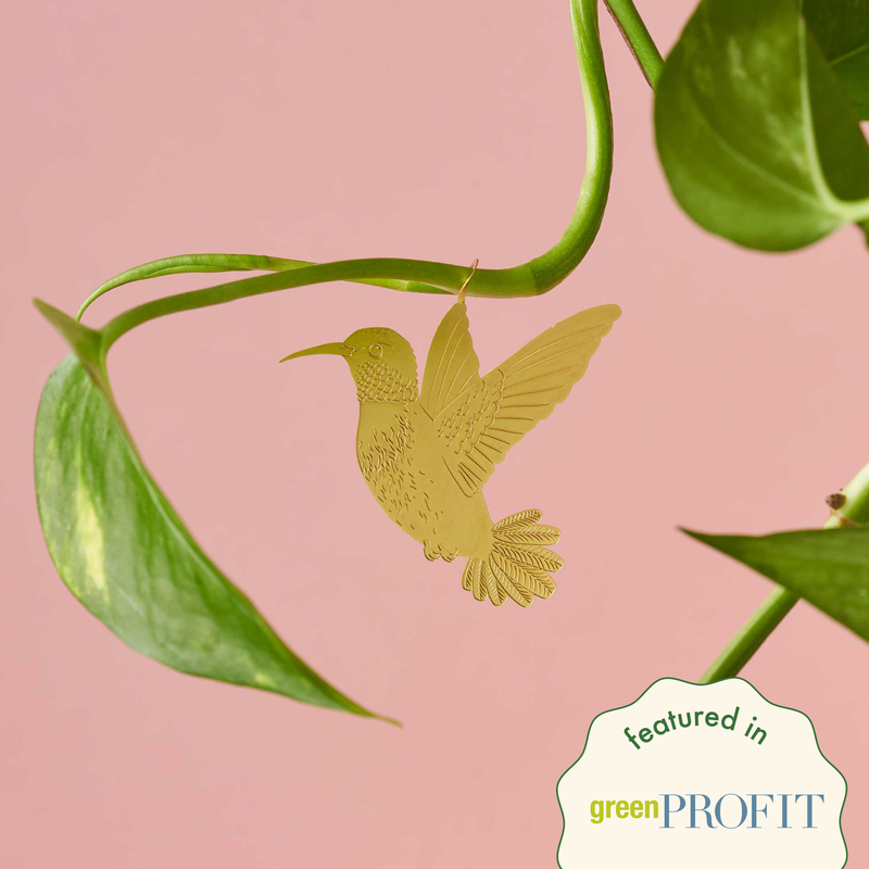 Plant Animal - Hummingbird Gifts Another Studio UK