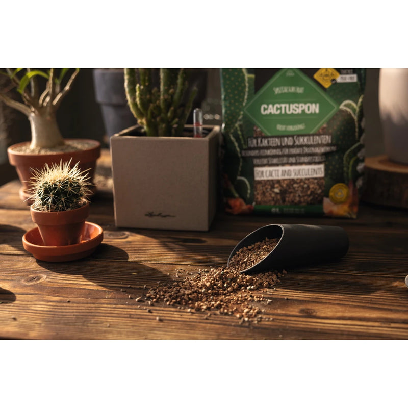 Lechuza Cactus Pon | Soil Alternative Potting Soil & Substrates Lechuza