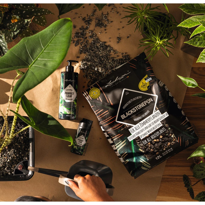 Lechuza Blackstone Pon | Soil Alternative Potting Soil & Substrates Lechuza