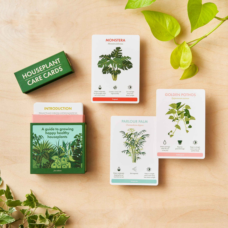 Houseplant Care Cards - Boxed Set of 35 Gifts Another Studio UK