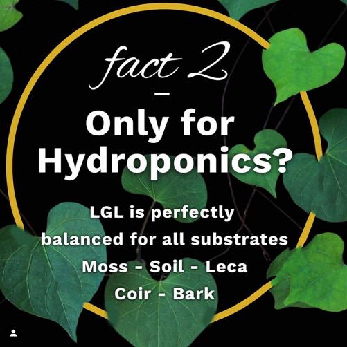 Liquid Gold Leaf Plant Fertiliser Plant Food and Nutrients Liquid Gold Leaf