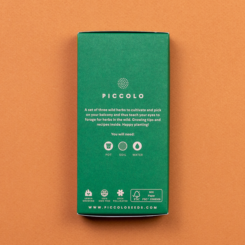 Foraging Wild Herbs Seed Collection Seeds Piccolo Seeds