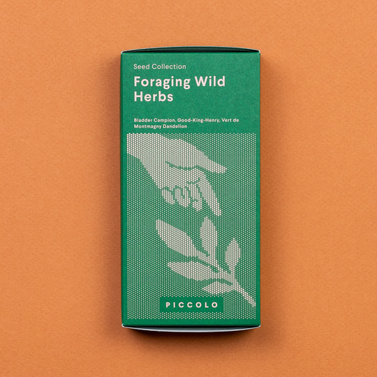Foraging Wild Herbs Seed Collection Seeds Piccolo Seeds
