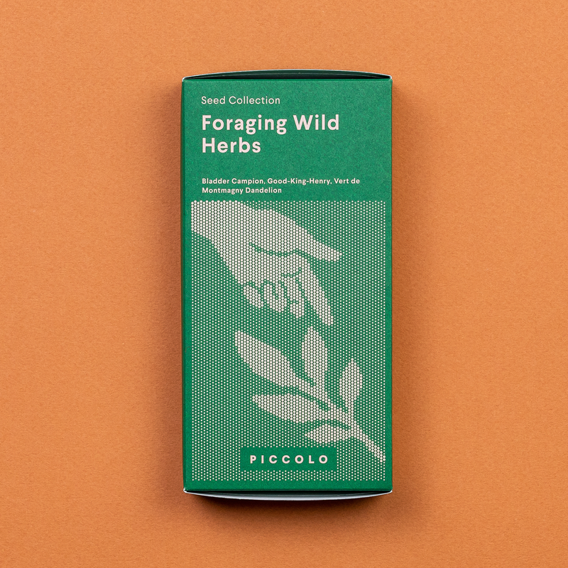 Foraging Wild Herbs Seed Collection Seeds Piccolo Seeds
