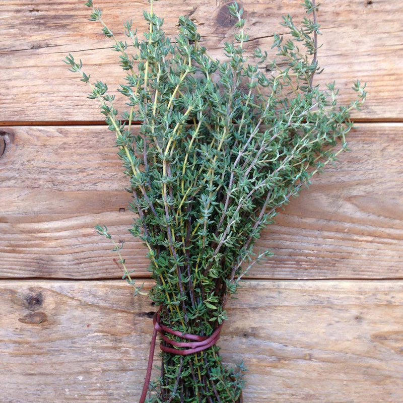 Thyme 'de Provence' Seeds — Default Title