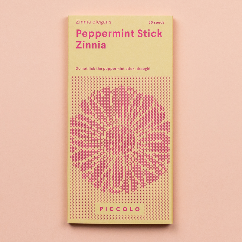 Zinnia 'Peppermint Stick' Seeds Seeds Piccolo Seeds