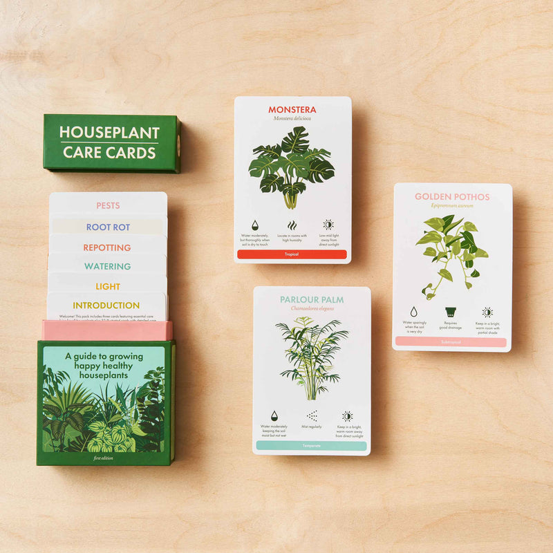 Houseplant Care Cards - Boxed Set of 35 — Default Title