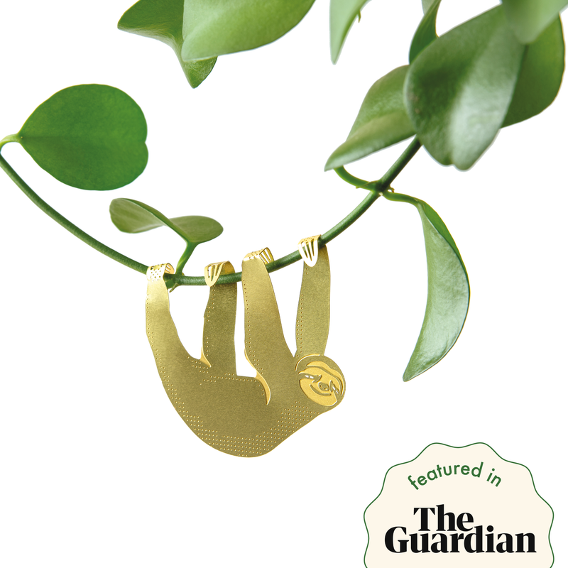 Plant Animal - Sloth Gifts Another Studio UK