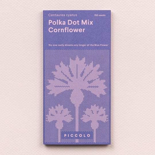 Cornflower 'Polka Dot Mix' Seeds Seeds Piccolo Seeds