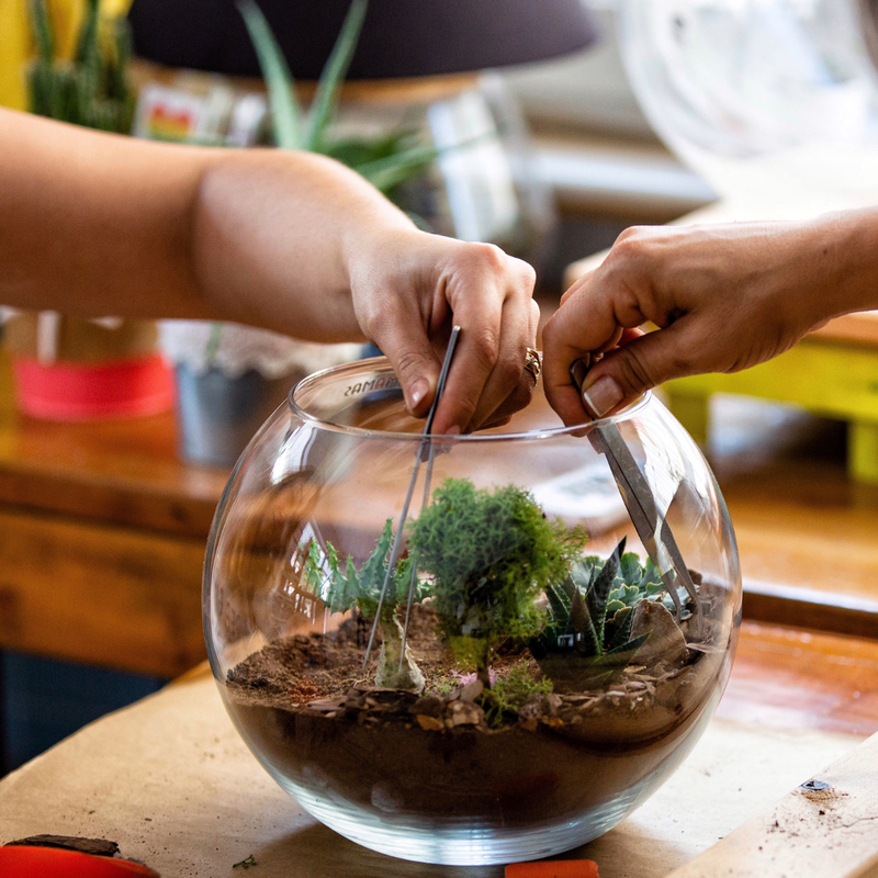 Team building terrarium workshop