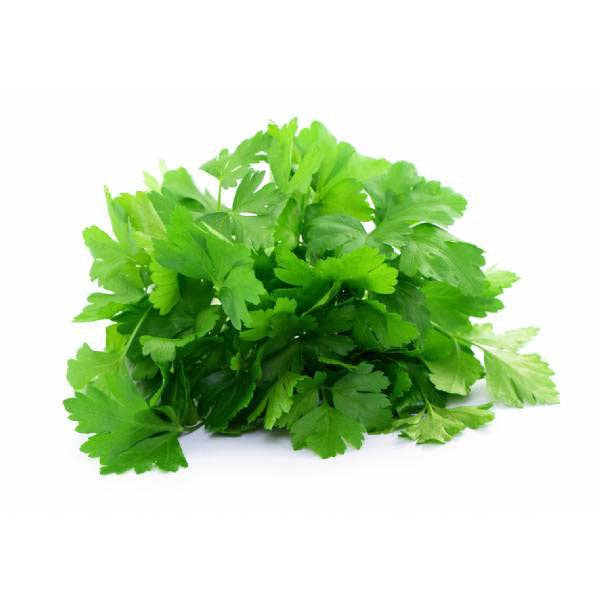 Parsley 'Gigante d’Italia' Seeds — Default Title
