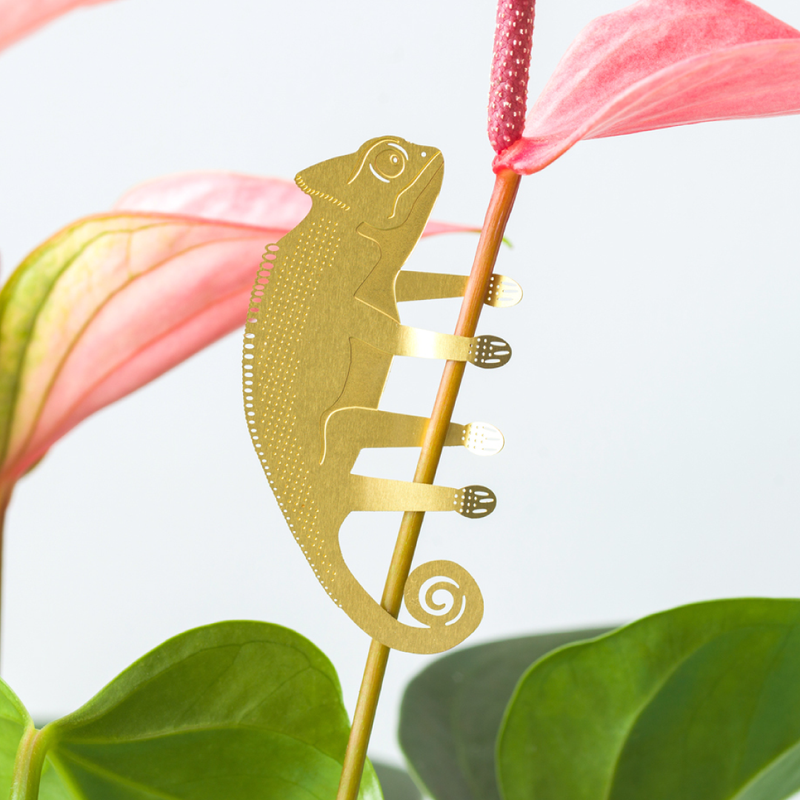 Plant Animal - Chameleon — Default Title
