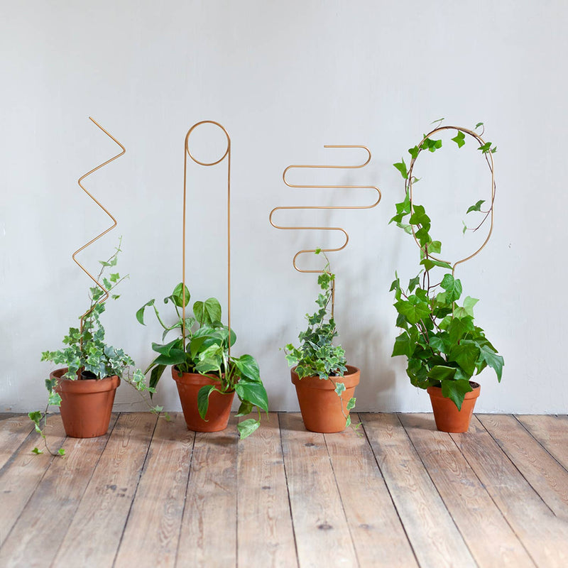 Golden Plant Stake – Arch Plant Support Botanopia - gifts , decor and cards for plant lovers