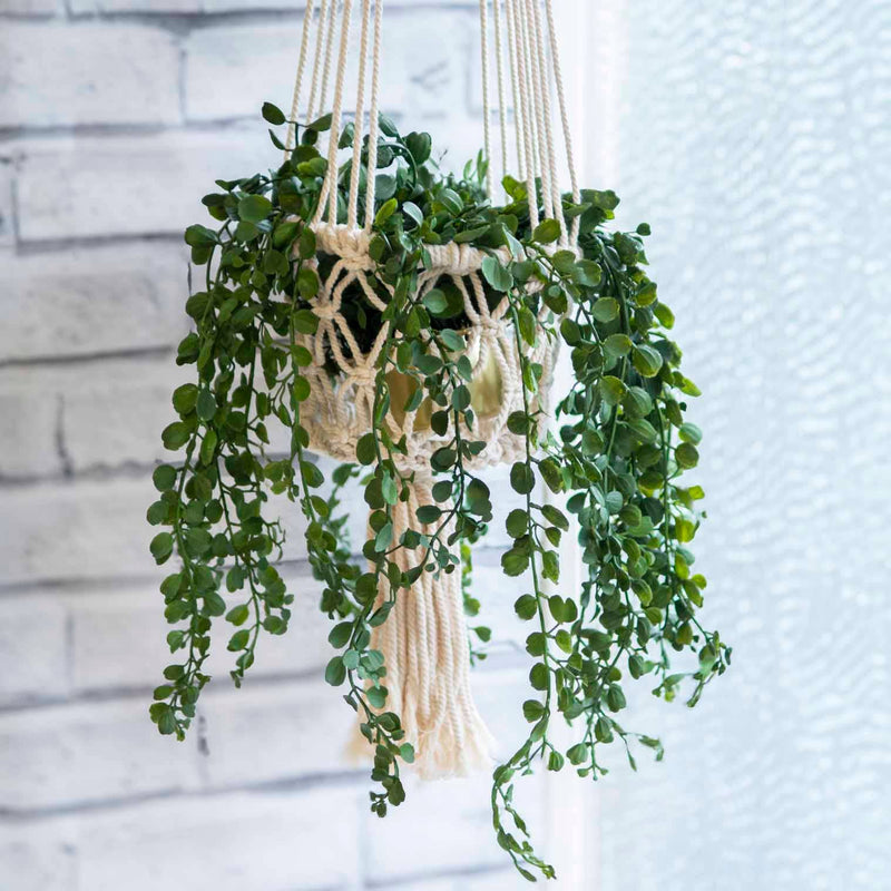 Macrame Plant Hanger Plant Hangers Siesta