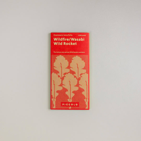 Wild Rocket 'Wildfire Wasabi' Seeds Seeds Piccolo Seeds
