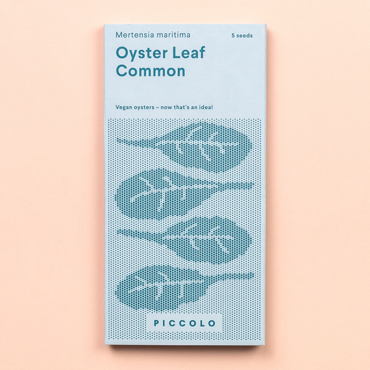 Oyster Leaf (Mertensia maritima) Seeds Seeds Piccolo Seeds