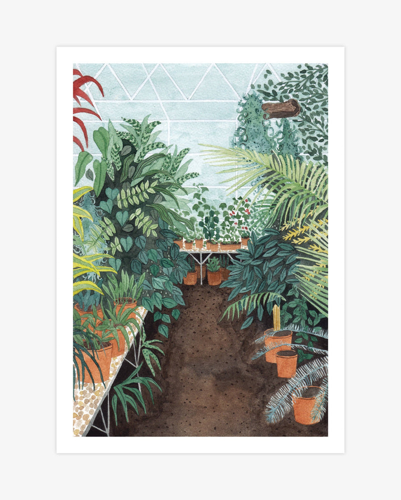 Greenhouse Study Print: A4 Gifts Katrina Sophia