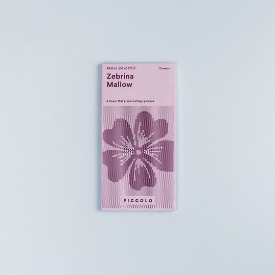 Mallow 'Zebrina' Seeds Seeds Piccolo Seeds