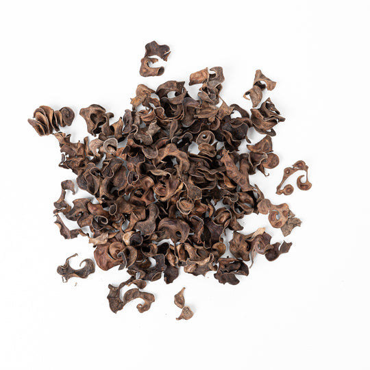 Curly Pods (30g) Terrarium Decor GrowTropicals