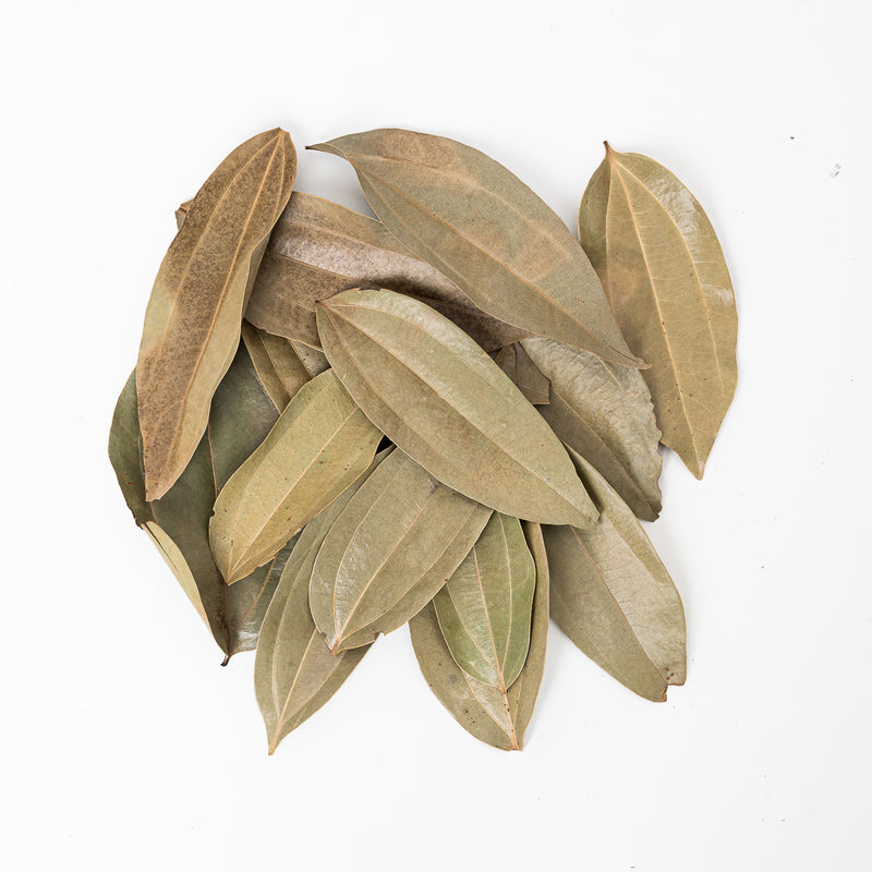 Cinnamon Leaves (15 Pack) Leaf Litter GrowTropicals