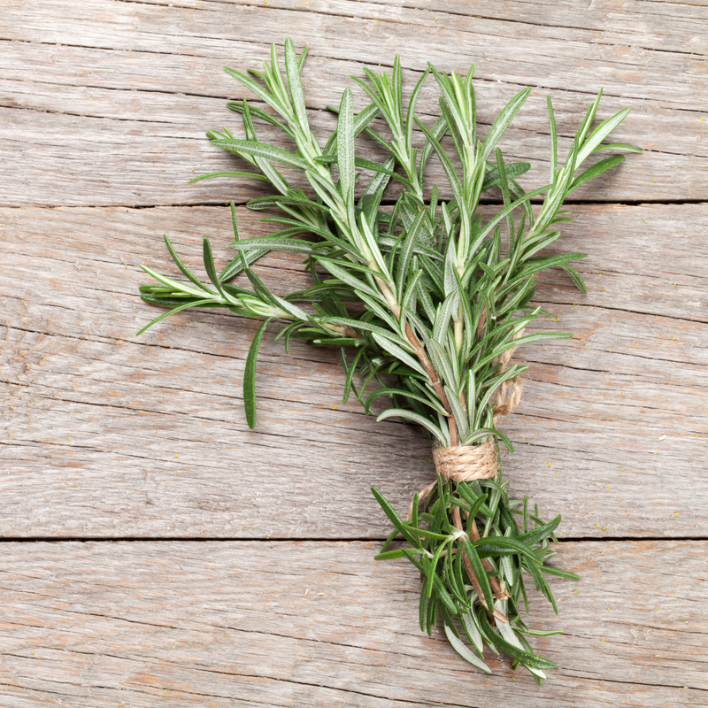 Rosemary Seeds — Default Title