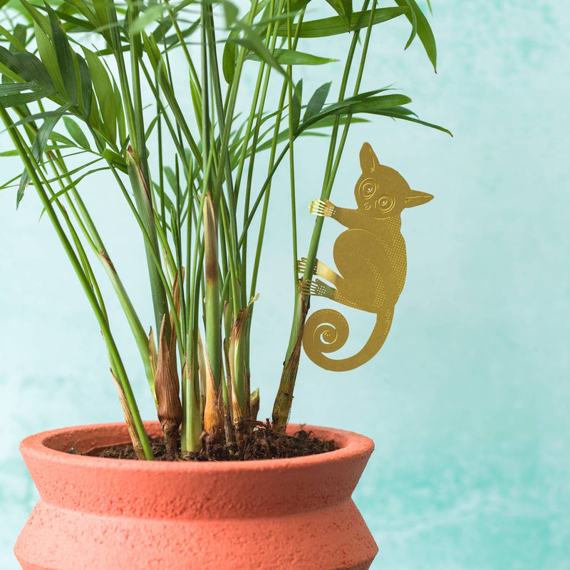 Plant Animal - Bush Baby Gifts Another Studio UK