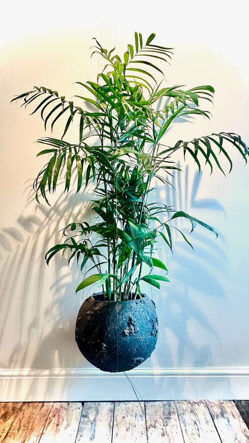 Bella Minimalist Wire Plant Pot Hanger Pots & Planters The Planted House
