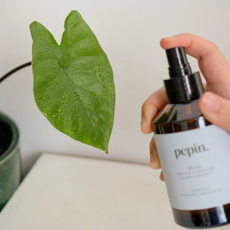 Pepin Cleaning Mist - Brume 200ml — Default Title