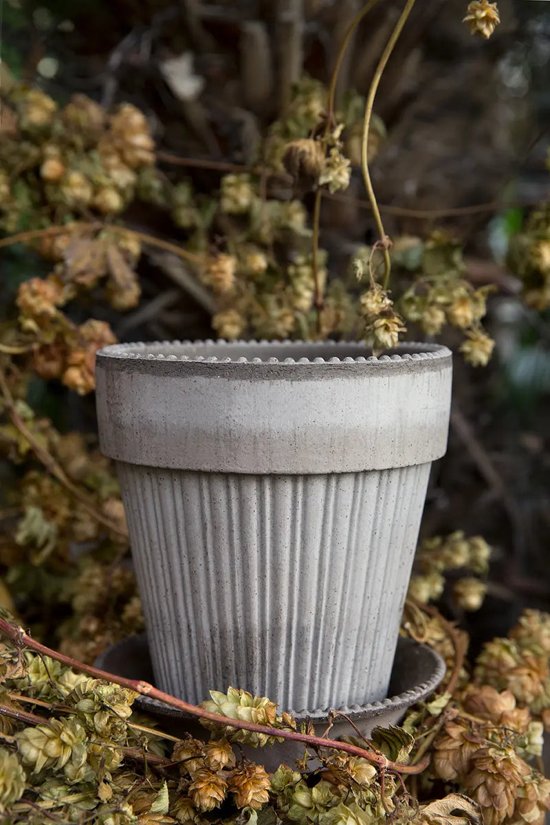 Bergs Potter Simona Pot Grey with Saucer Pots & Planters Bergs Potter