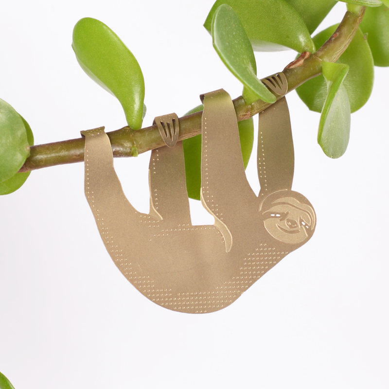 Plant Animal - Sloth — Default Title