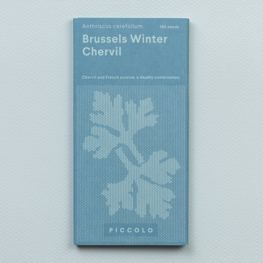 Chervil 'Brussels Winter' Seeds Seeds Piccolo Seeds