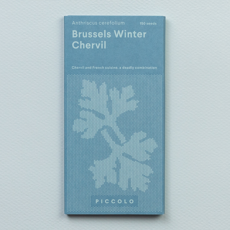 Chervil 'Brussels Winter' Seeds Seeds Piccolo Seeds
