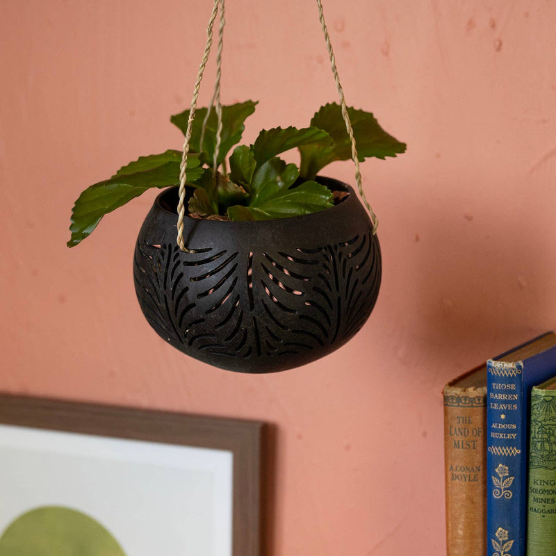 Cut Out Coconut Plant Hanger Plant Hangers Siesta