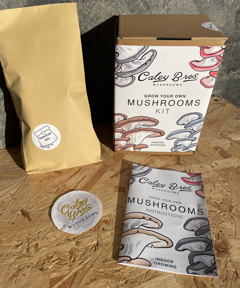 Mushroom Growing Gift Box CaleyBros