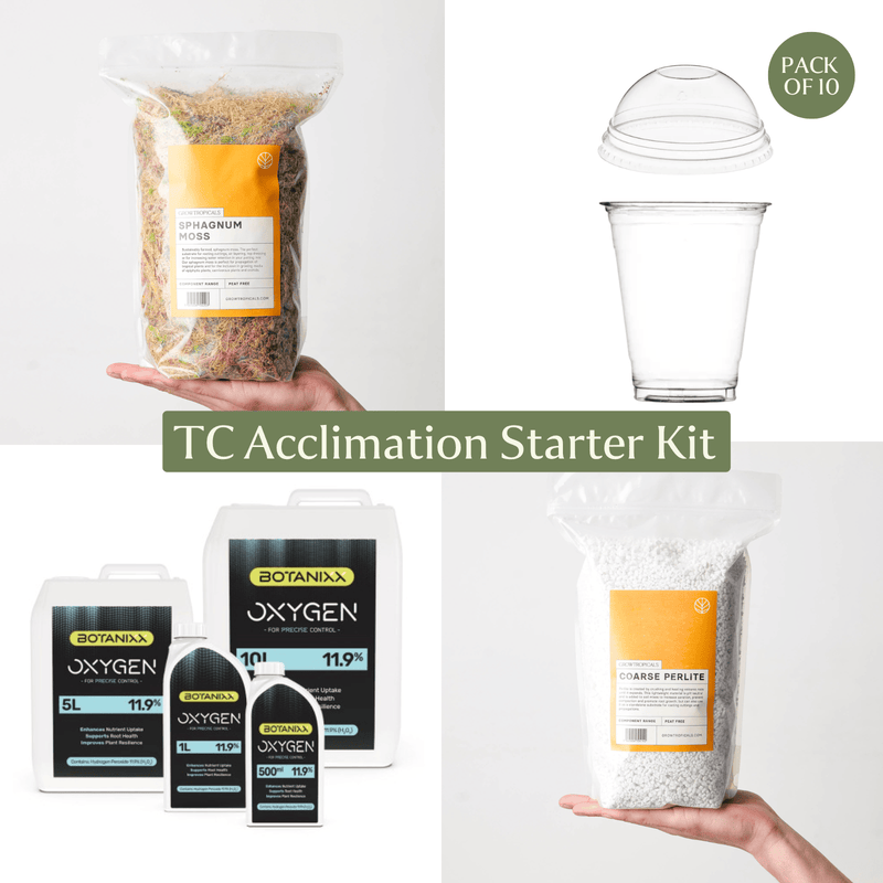 Tissue Culture Acclimation Starter Kit GrowTropicals