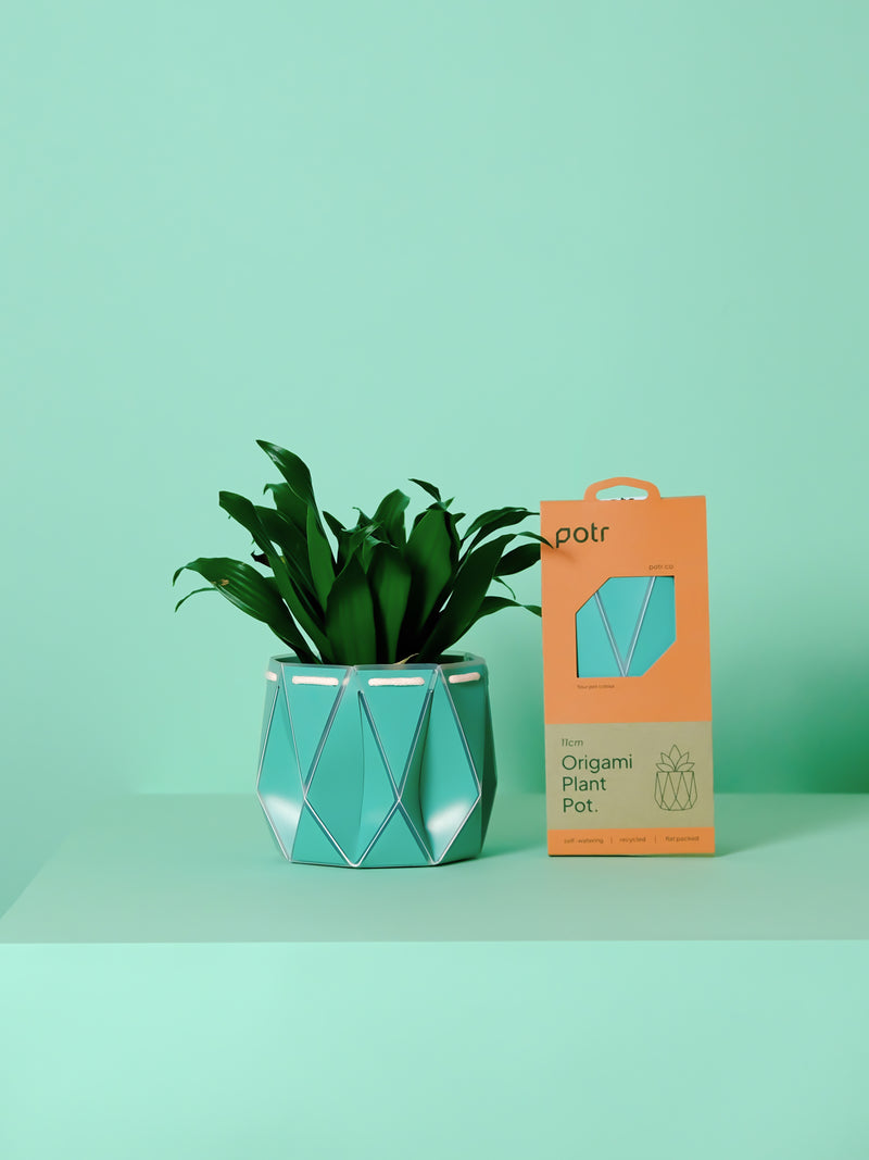 POTR Aqua Self-Watering Pot — 11cm / Aqua