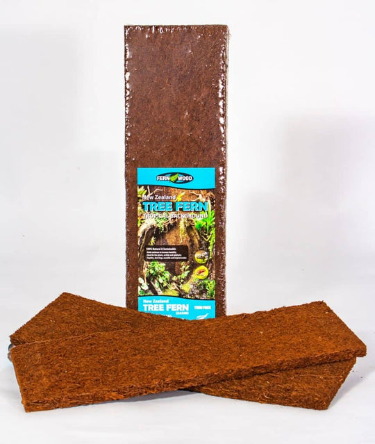 Sustainable Tree Fern Panels | Xaxim Hardscape Fernwood