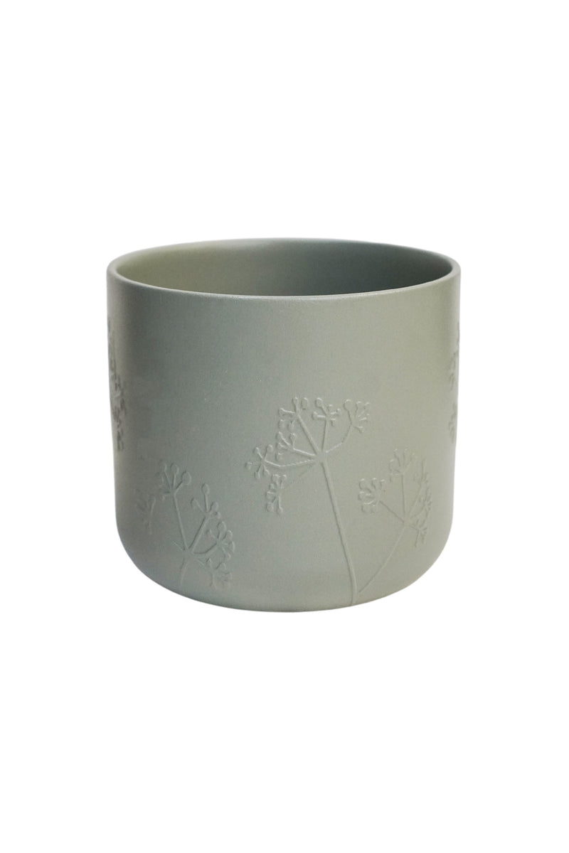 Cow Parsley Pot Green Pots & Planters Ivyline