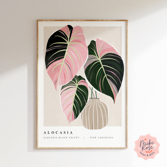 Variegated Alocasia Black Velvet Art Print Prints MikiRoseHome