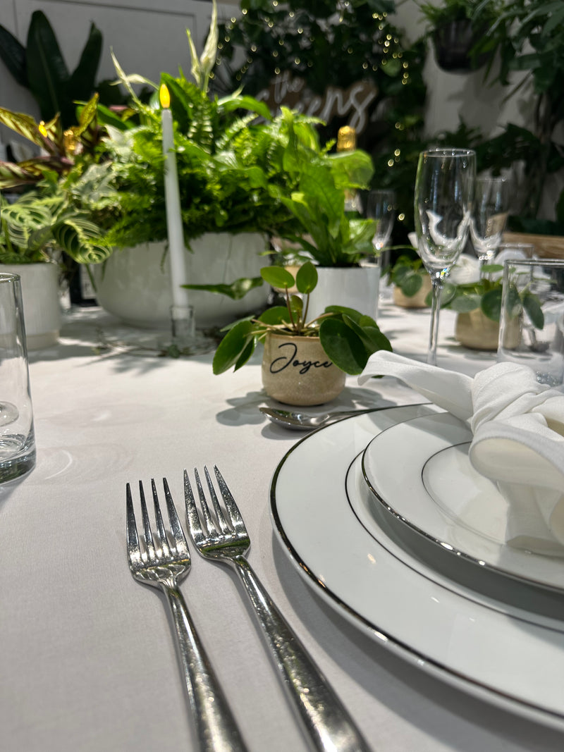 Houseplant hire for events
