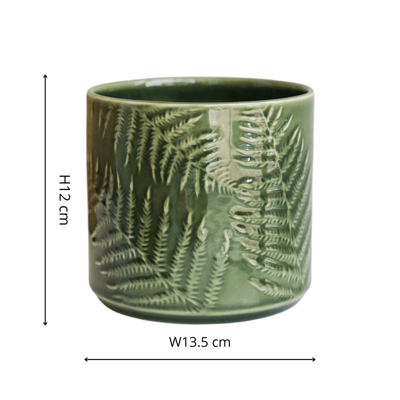 Orla Fern Pot Green Pots & Planters Ivyline