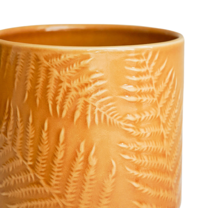 Orla Fern Pot Mustard Pots & Planters Ivyline