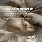 Mushroom Growing Gift Box CaleyBros