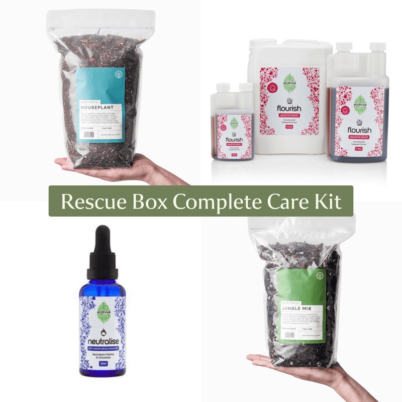 Rescue Box Complete Care Kit Pots & Planters GrowTropicals