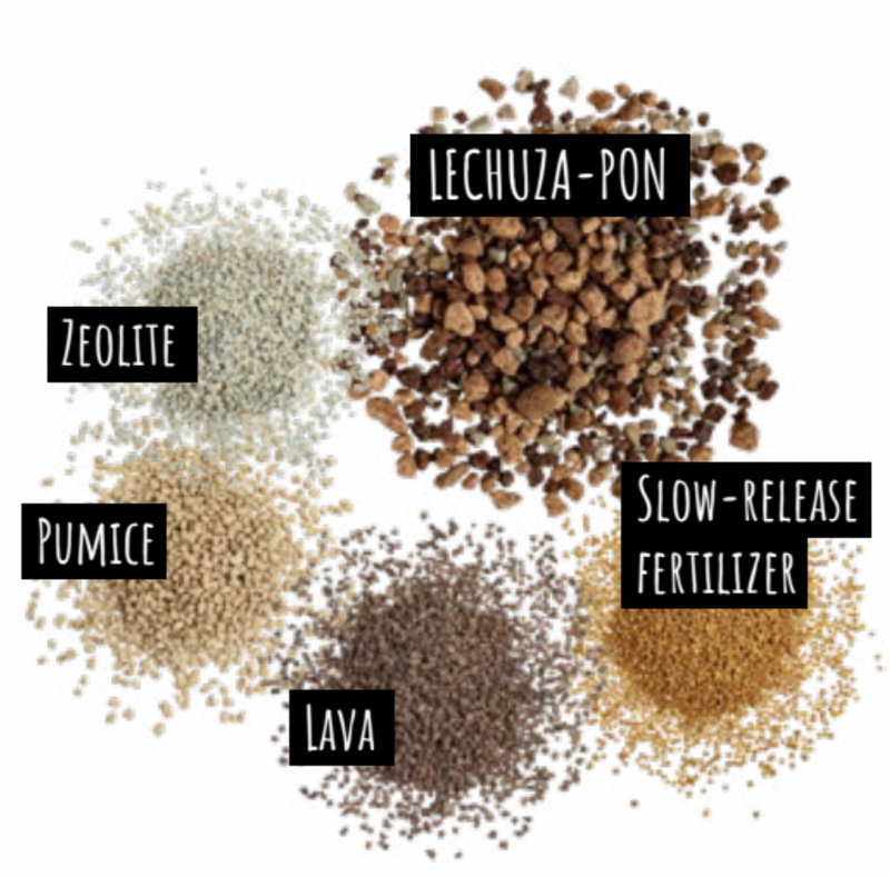 Lechuza XXL Coarse Pon | Soil Alternative — 25 Litres