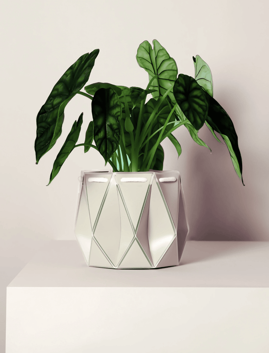 POTR Ivory Self-Watering Pot Pots & Planters POTR