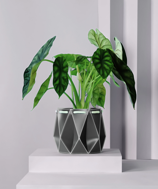 POTR Slate Grey Self-Watering Pot Pots & Planters POTR