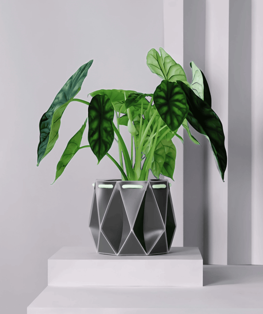 POTR Slate Grey Self-Watering Pot Pots & Planters POTR