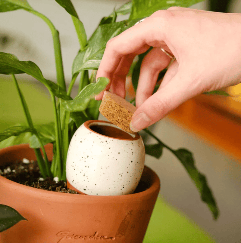 Pepin Self Watering Olla Heart Gardening Tools Pepin