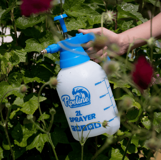 2L Pump Pressure Sprayer 2L Gardening Tools GrowTropicals